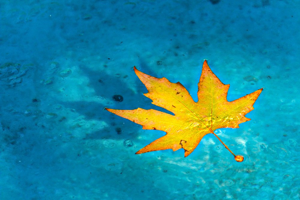 Photograph by Golestani Mojtaba