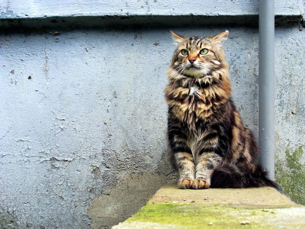 Photograph by Алька Вереск