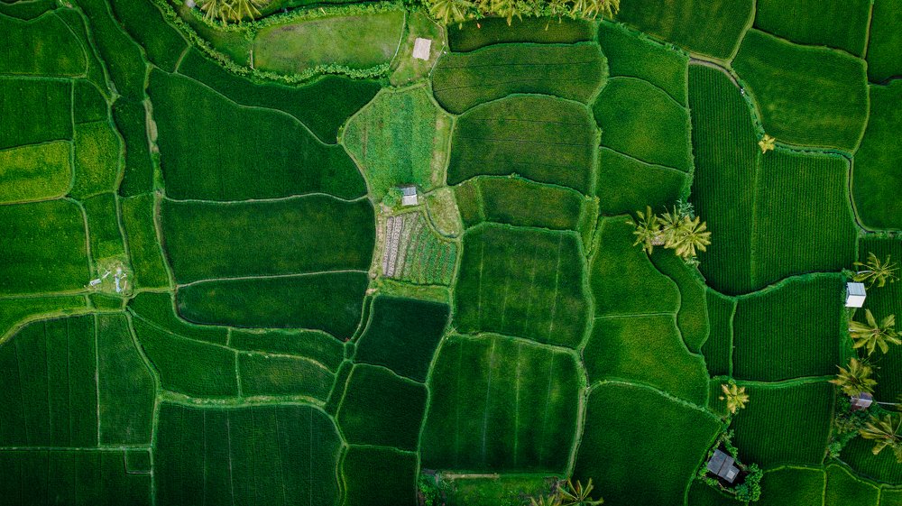 Photograph by Alexey Nikitin