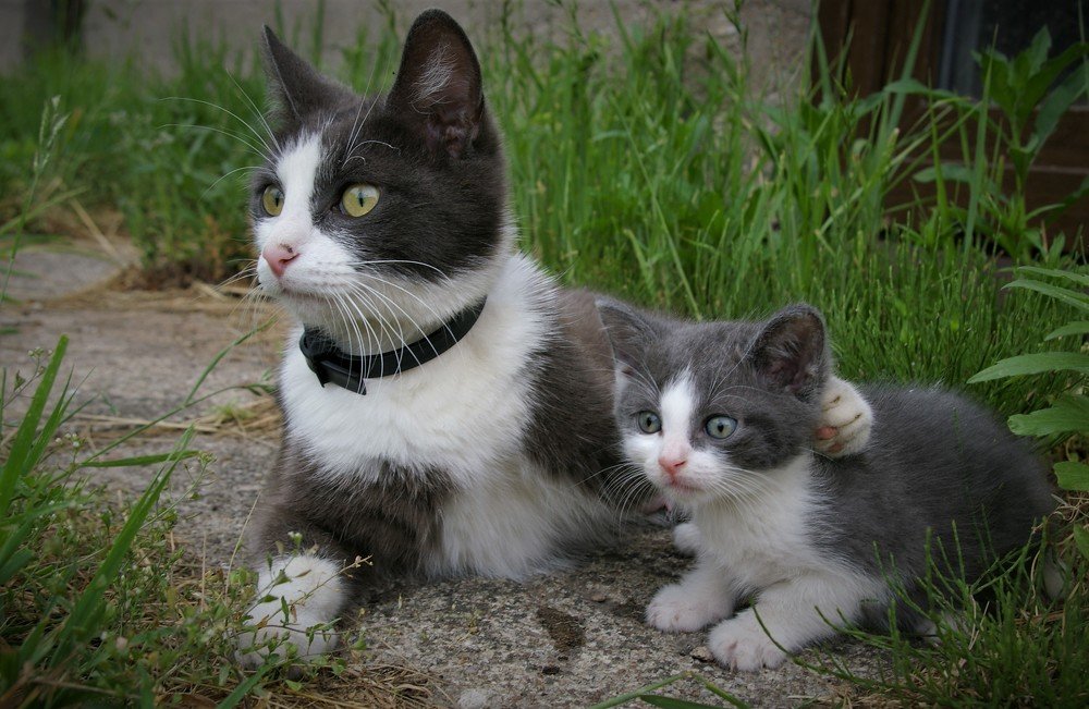 Фотография автора dariussal