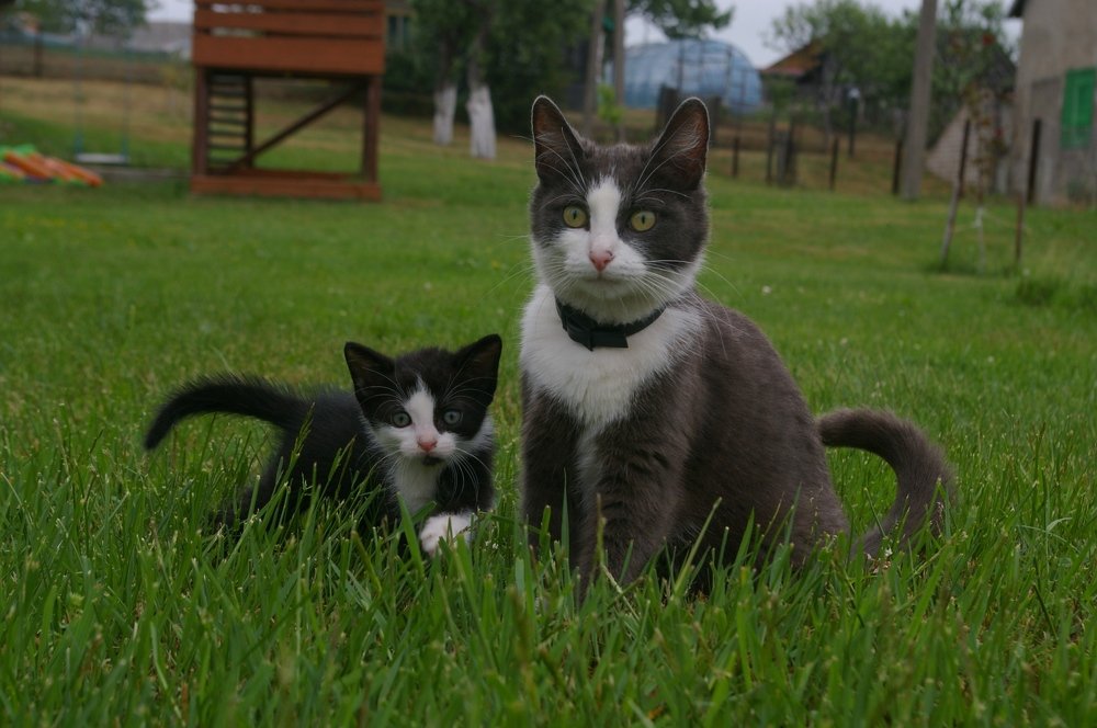 Фотография автора dariussal