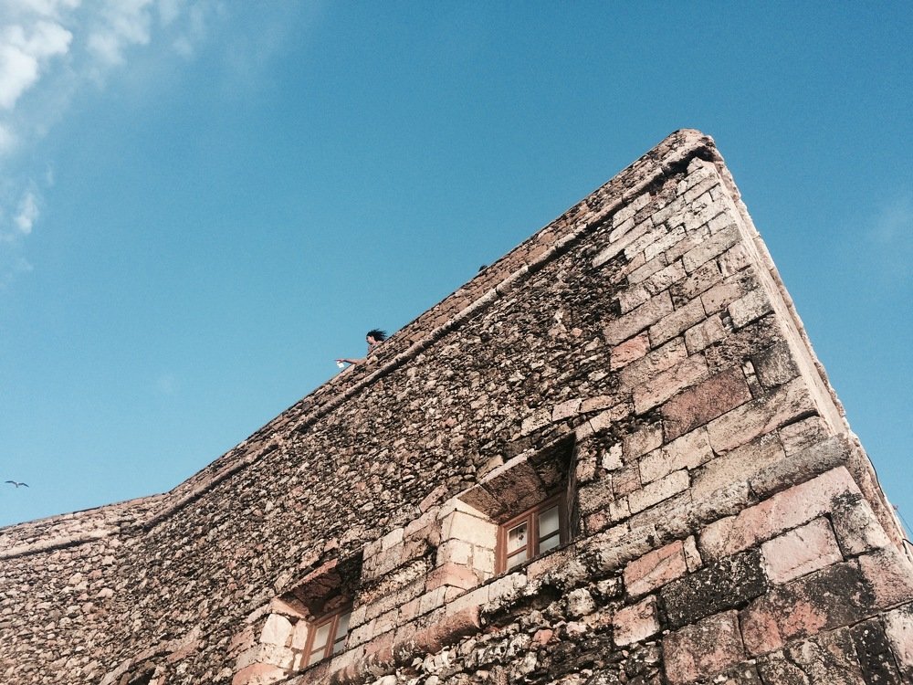 The girl and the bird