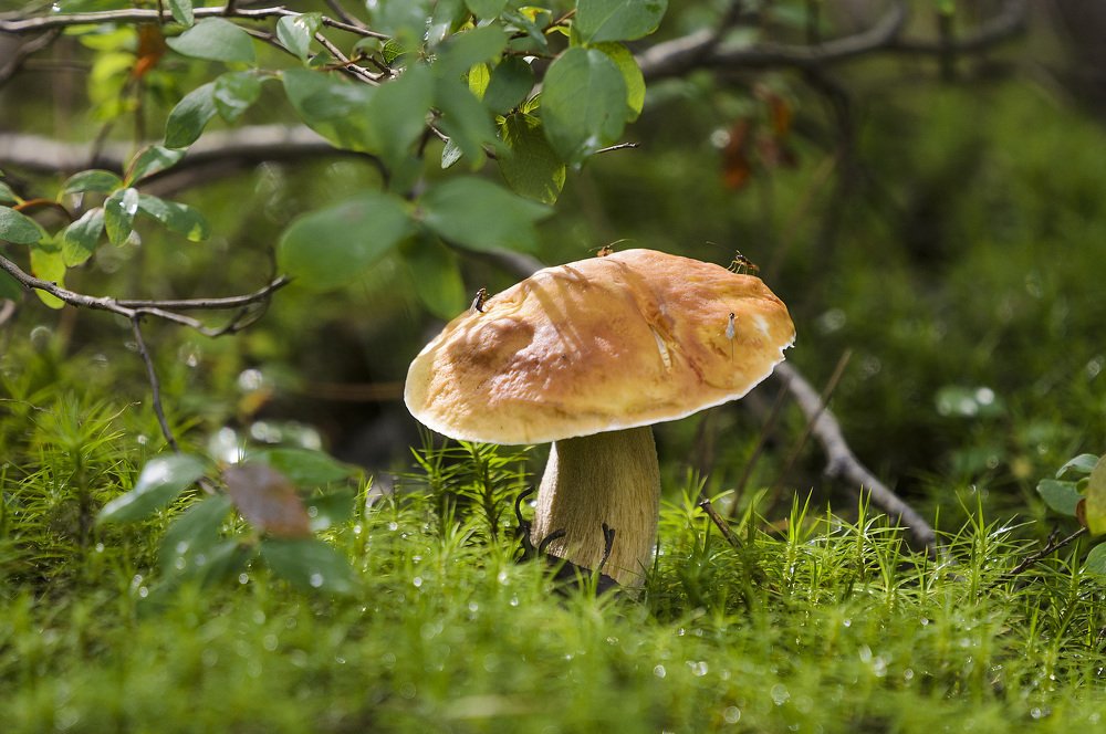 Круглый стол