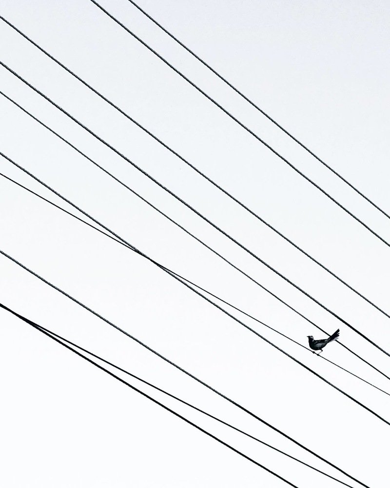 Photograph by Ольга Харлан