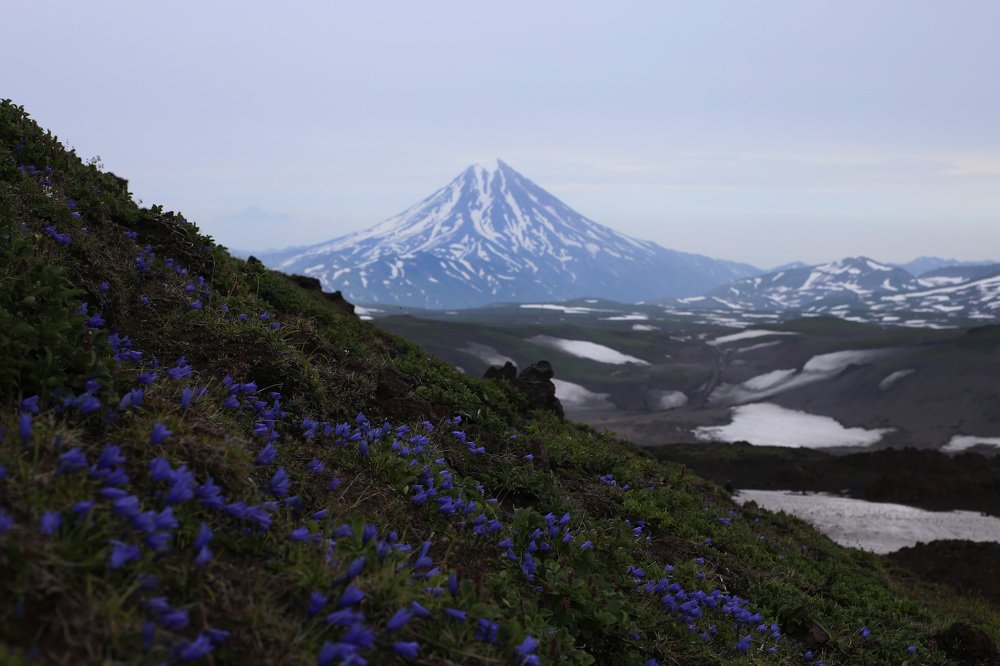 Photograph by Полина