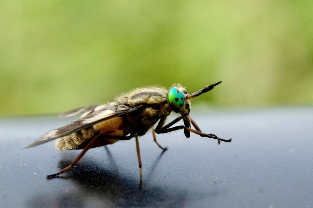 Фотография автора Marleen Jamers