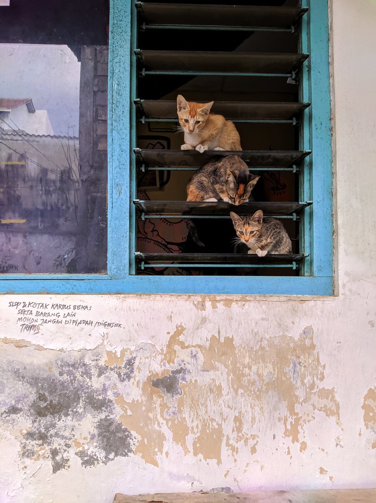 Photograph by Sunlie Thomas Alexander