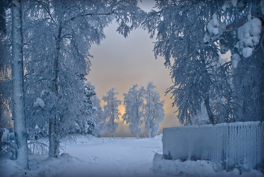 Photograph by Виктор Ухачев