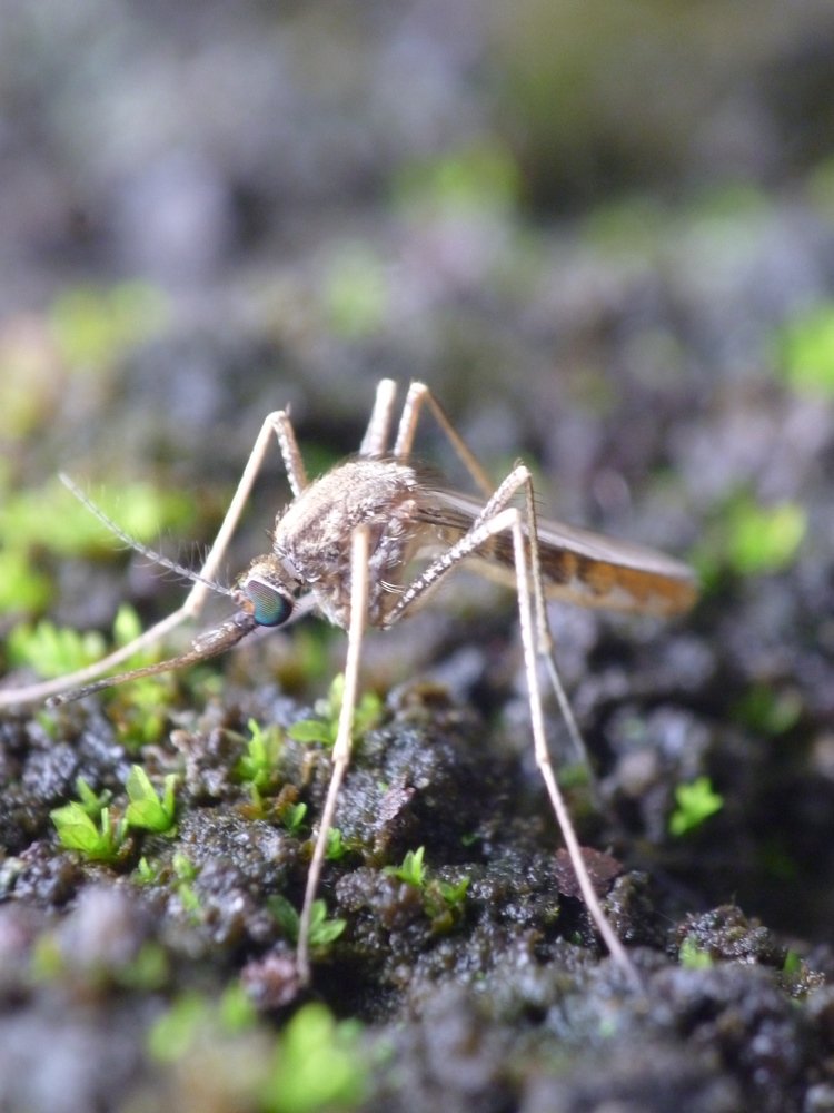 Photograph by taufik trw