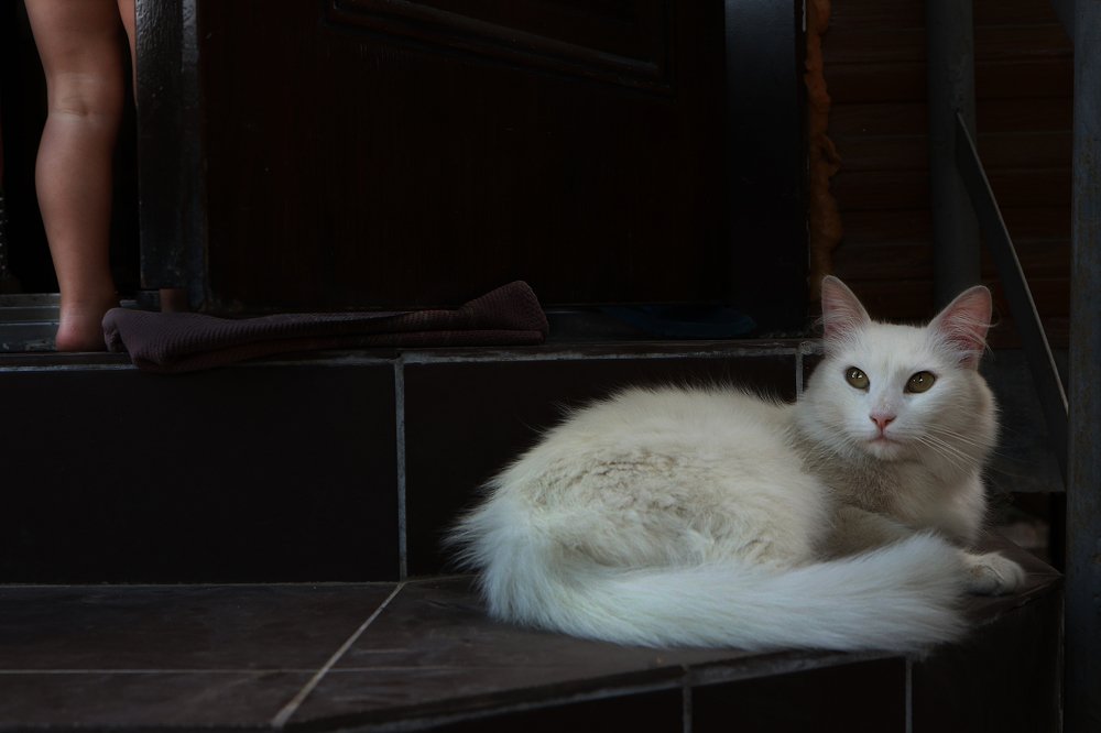 Photograph by Андрей Устинович