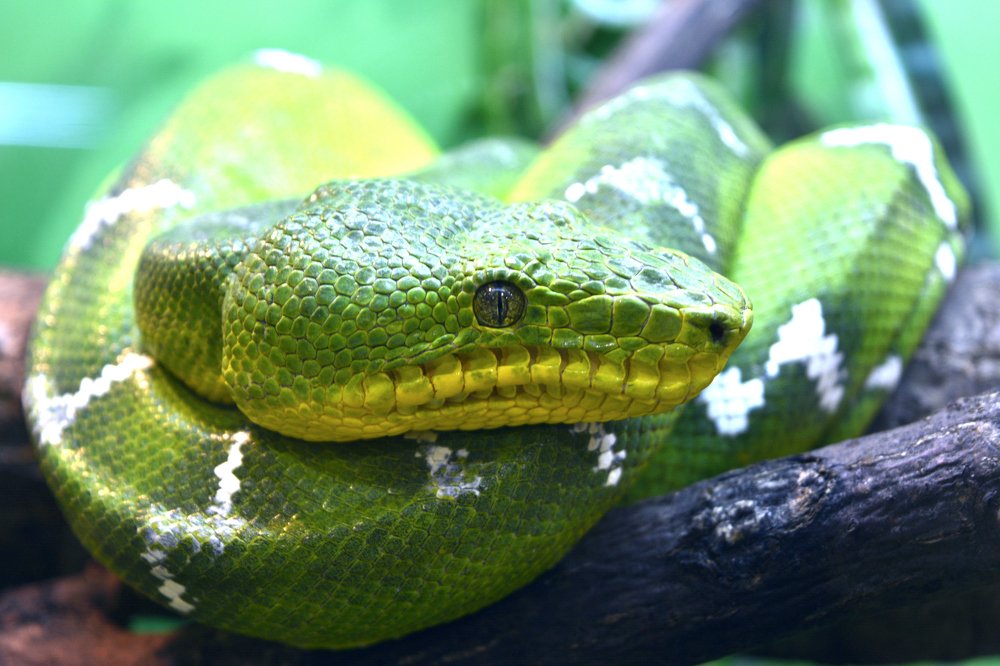 Photograph by Светлана Евпалова