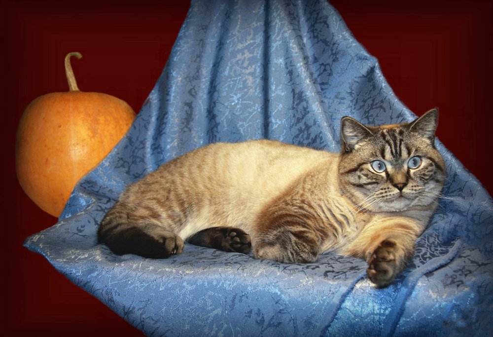 Photograph by Александр Кравченко