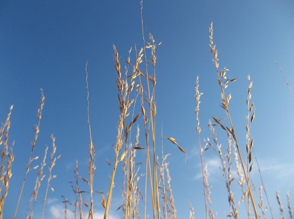 Photograph by Георги Колев