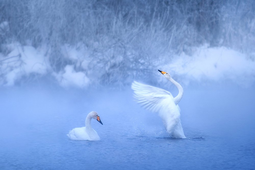 Photograph by Ольга Рудченко