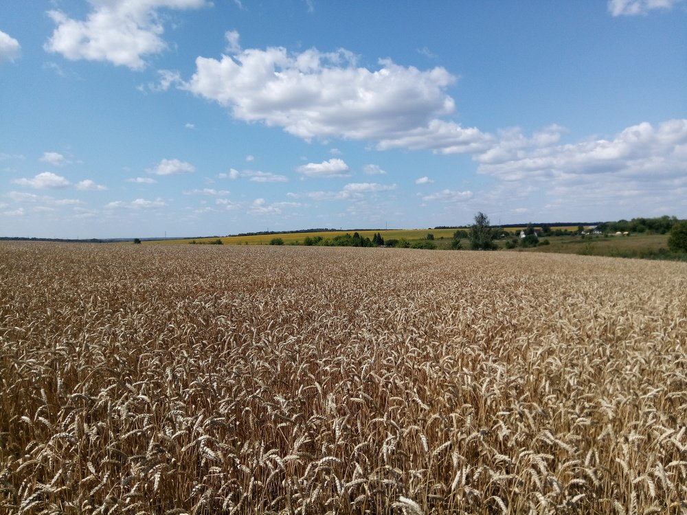 Photograph by Дмитрий