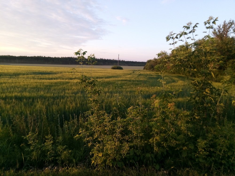 Photograph by Дмитрий