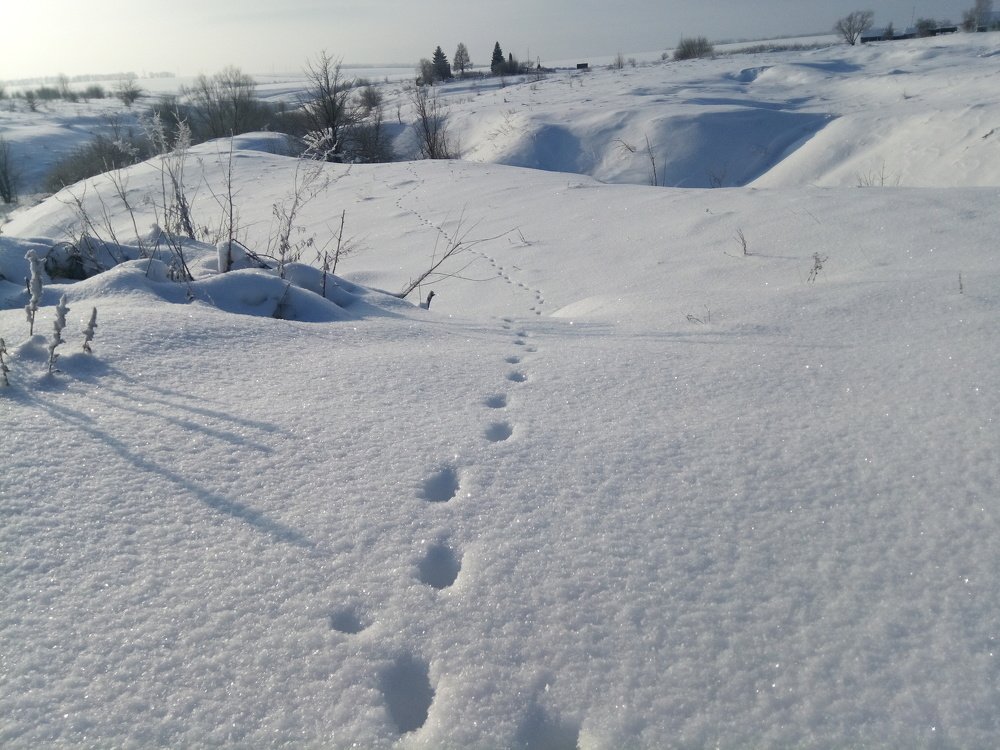 Photograph by Дмитрий