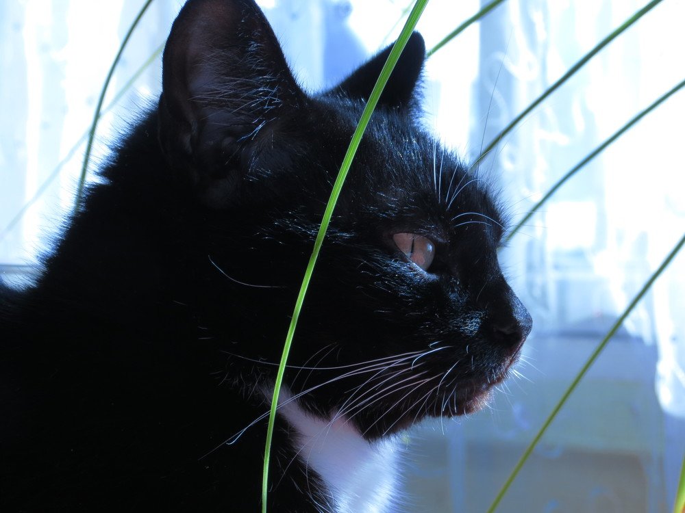 Photograph by Иван Скрипкин