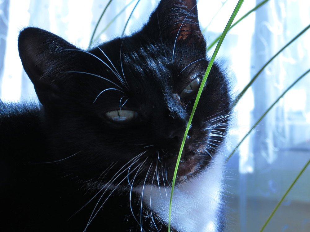 Photograph by Иван Скрипкин