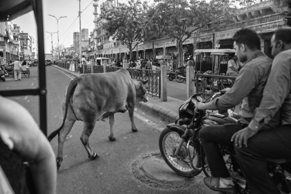 Фотография автора Сергей Миронов