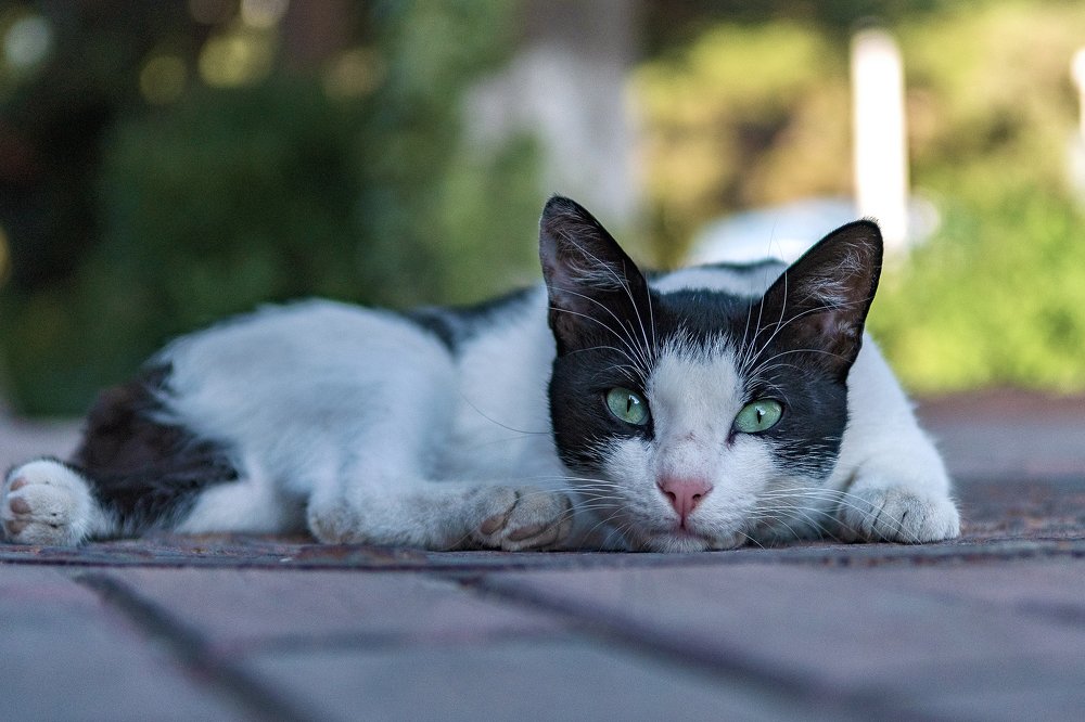 Photograph by Демьян Лопатов