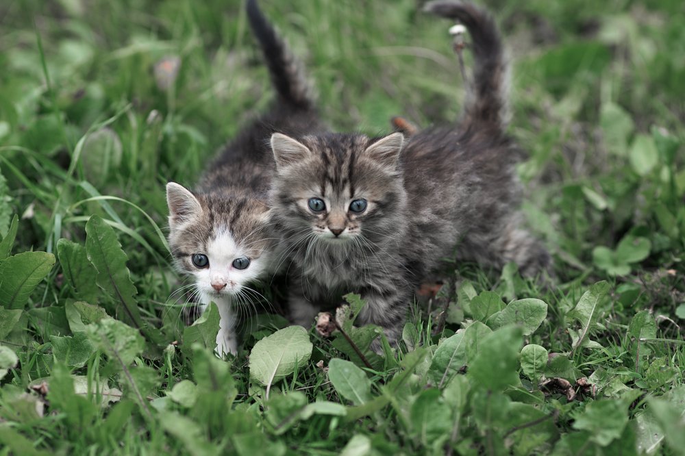 Photograph by Ирина Савицкая