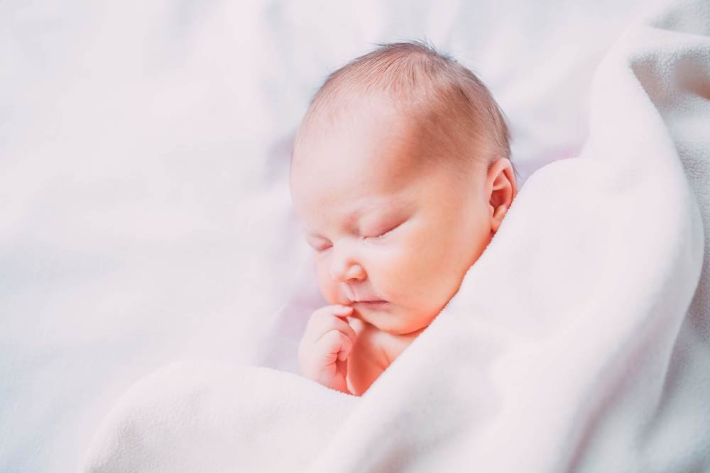 Фотография автора Дарья Шевченко