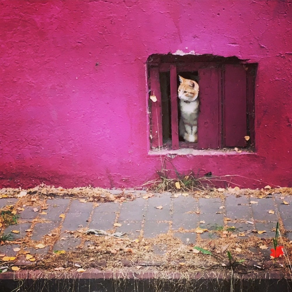 Photograph by Елизавета Русакова