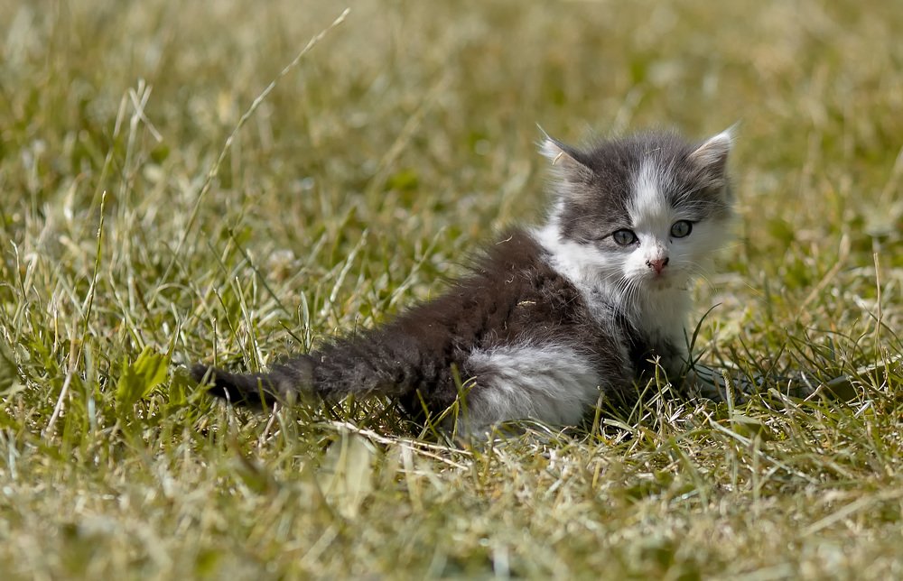 Photograph by Наталья Шалкевич