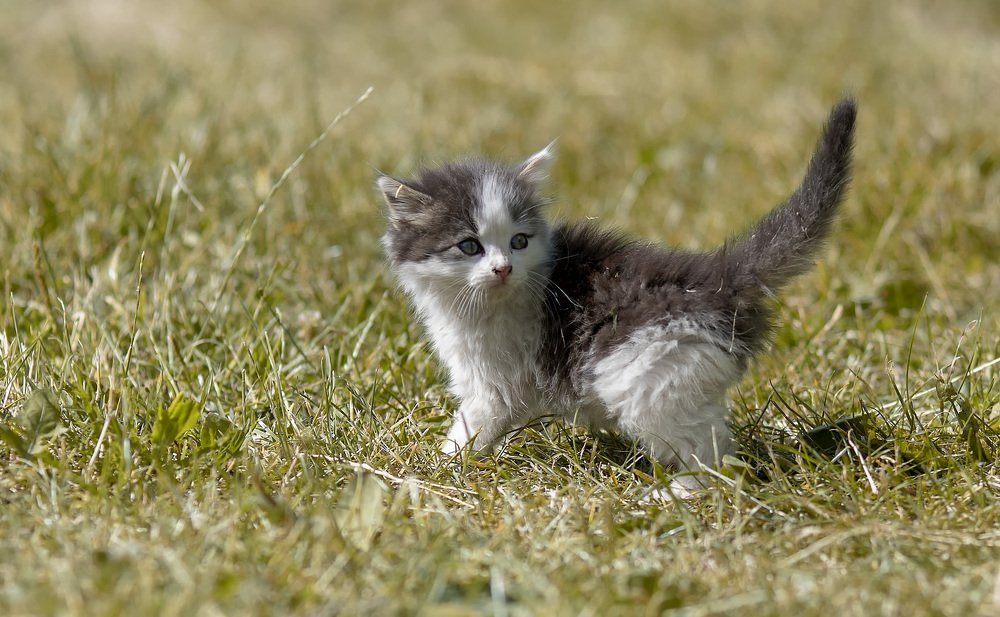 Photograph by Наталья Шалкевич