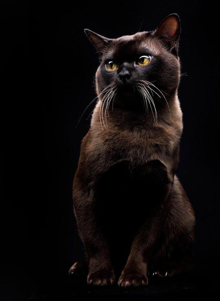 Photograph by Игорь Сахаров