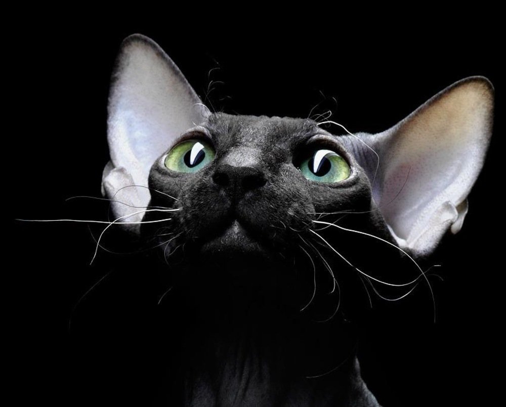 Photograph by Igor Sakharov