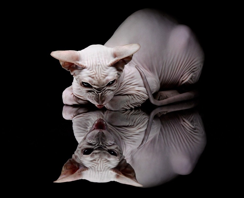 Photograph by Igor Sakharov