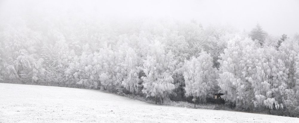 Photograph by Сергей Ростроса