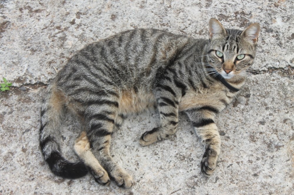 Photograph by João Ferreira