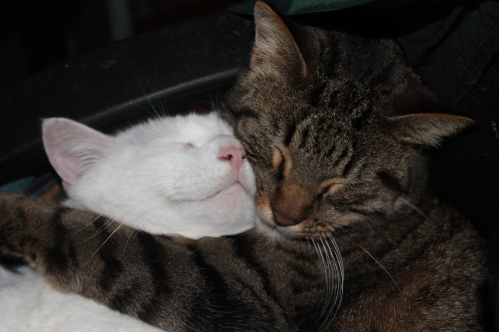 Photograph by João Ferreira