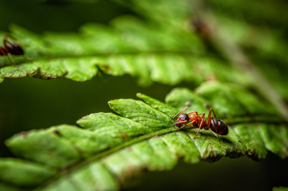 Photograph by Артем Орлянский