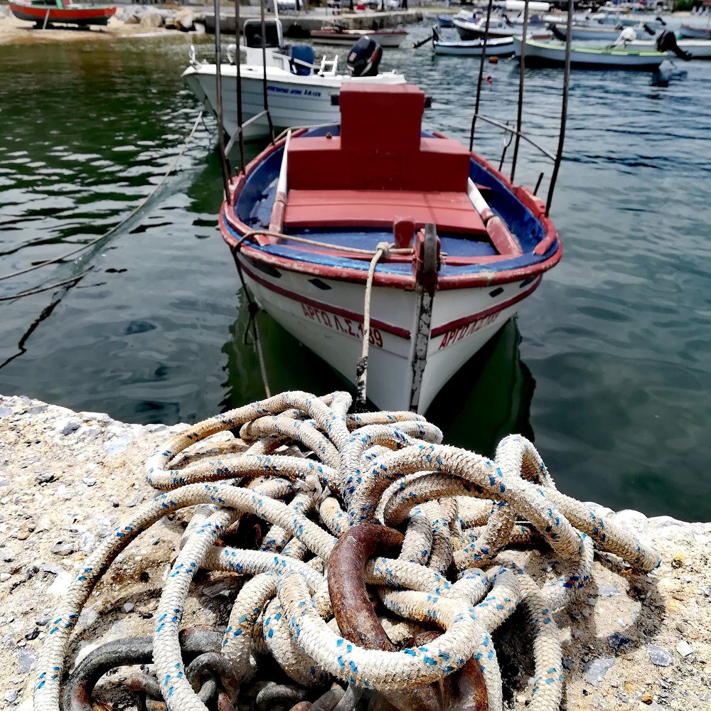 Photograph by Daniela Stanojkovska