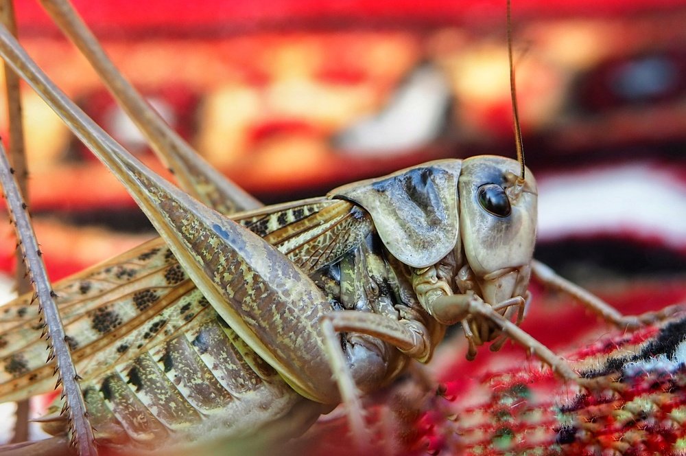 Photograph by Ирина