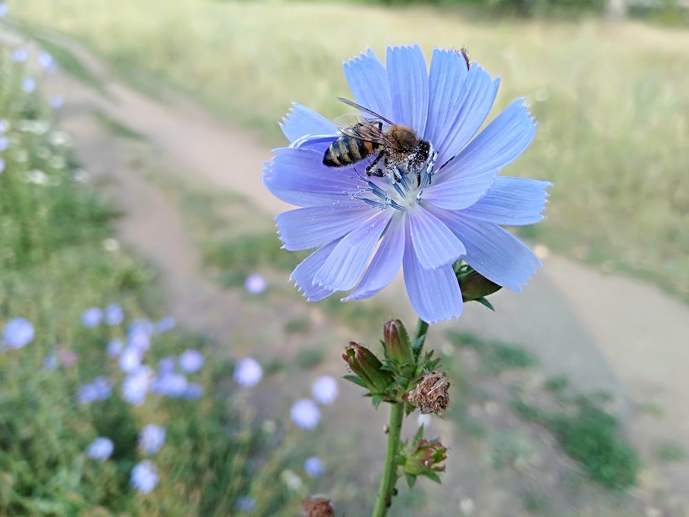 Photograph by Татьяна Котельникова