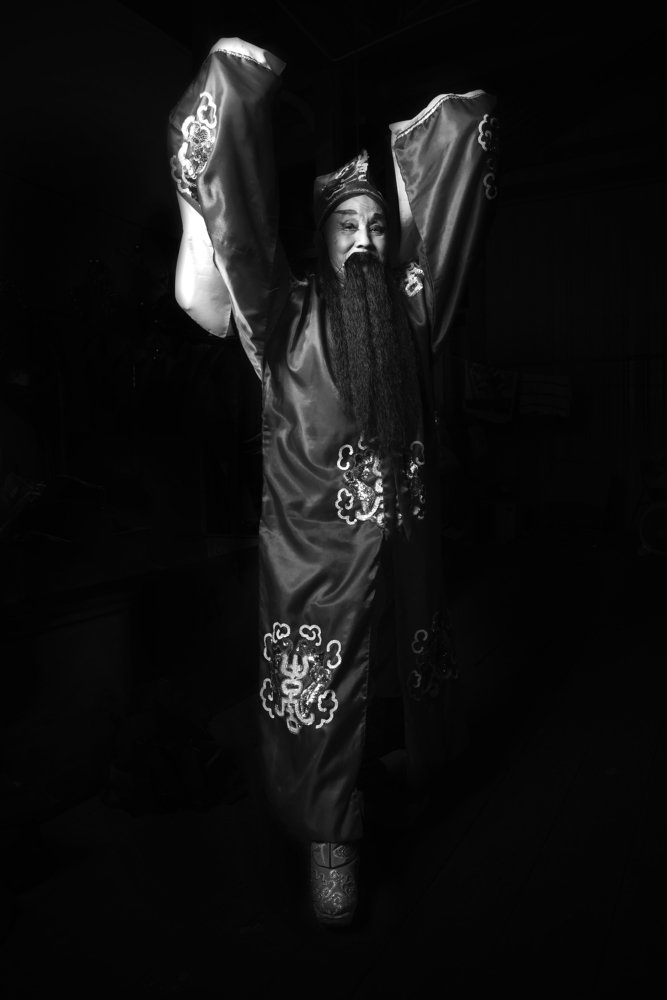 The Chinese Opera Artist