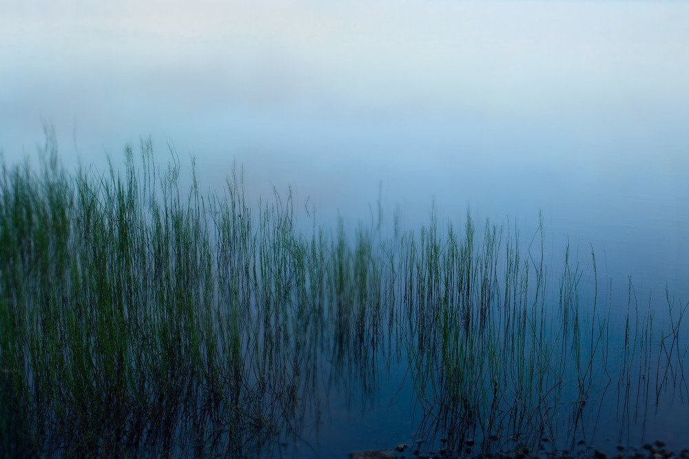 Фотография автора Olga Alekseeva