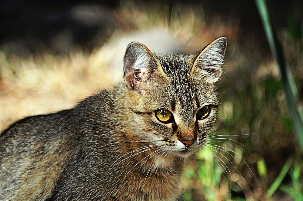 Photograph by БРОВКО АЛЕКСАНДР ИВАНОВИЧ