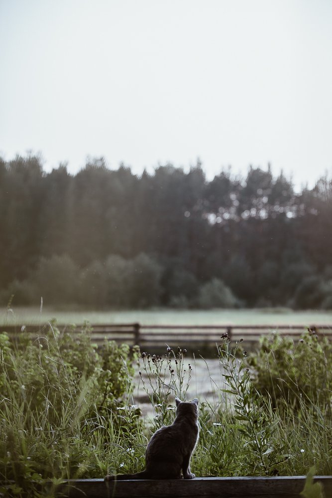 Photograph by Анисимова Ольга Леонидовна