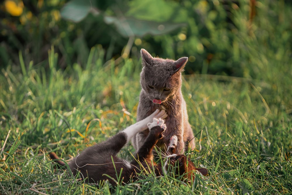 Photograph by Анисимова Ольга Леонидовна