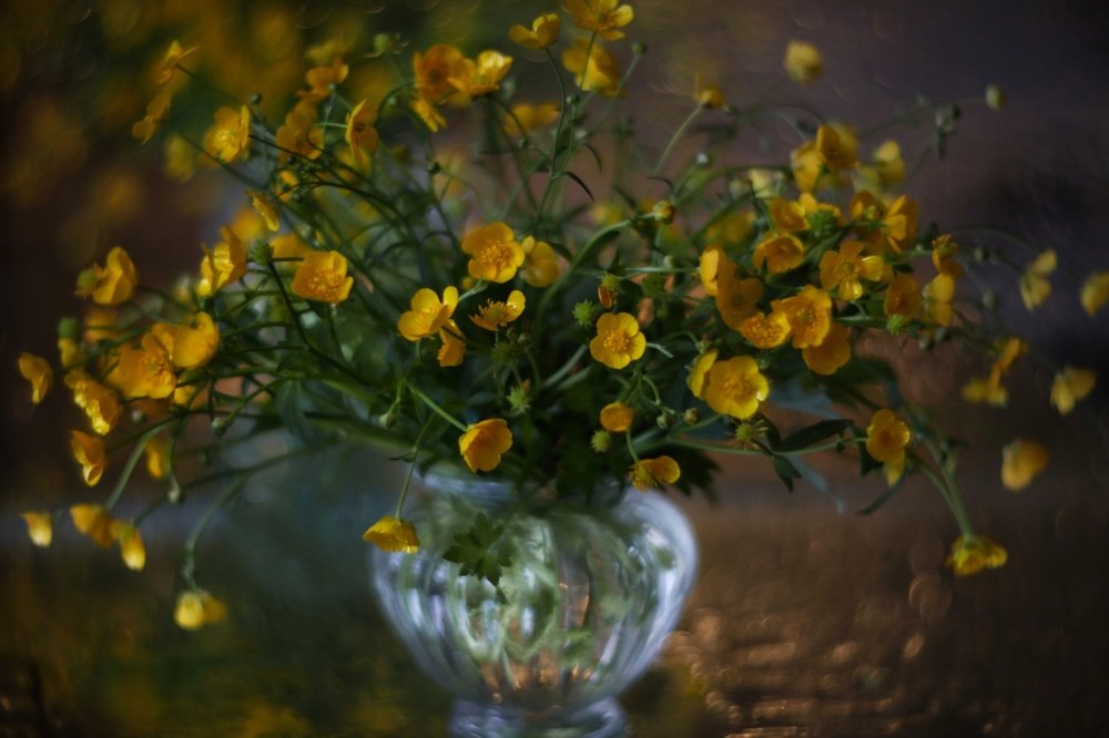 Жёлтое очарование...