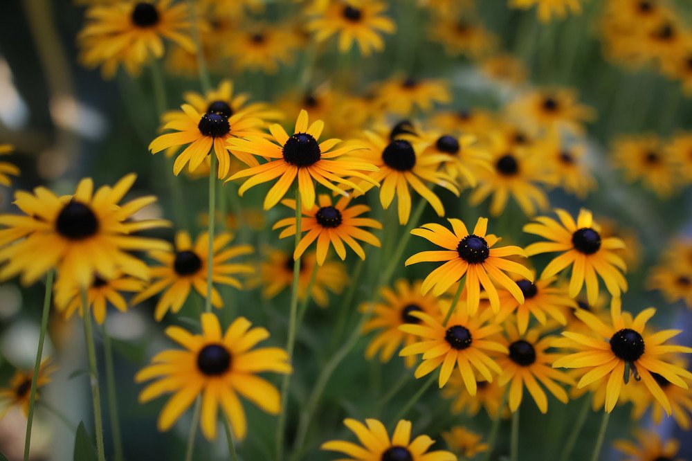 Лето, не уходи!