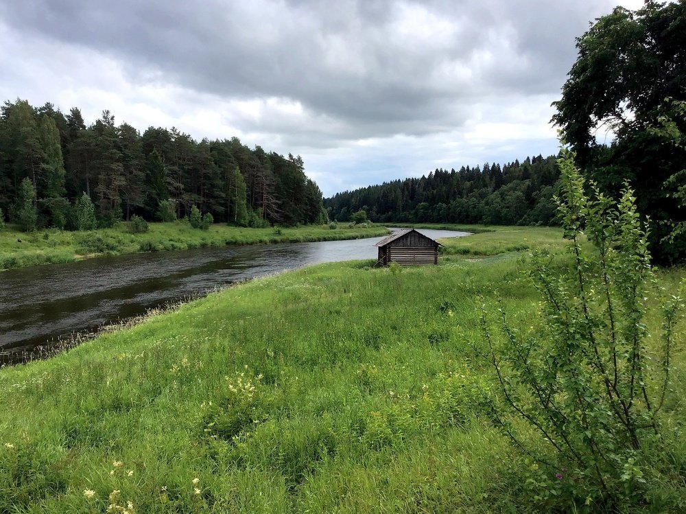 За поворотом только лес
