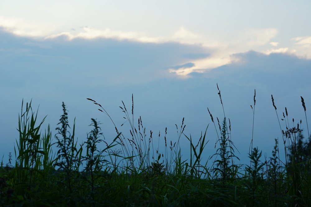 Photograph by Анастасия Мирра