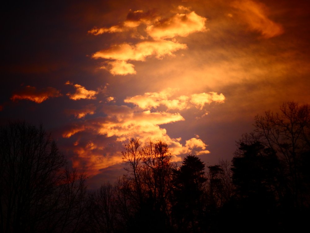 Фотография автора Silvija Janero